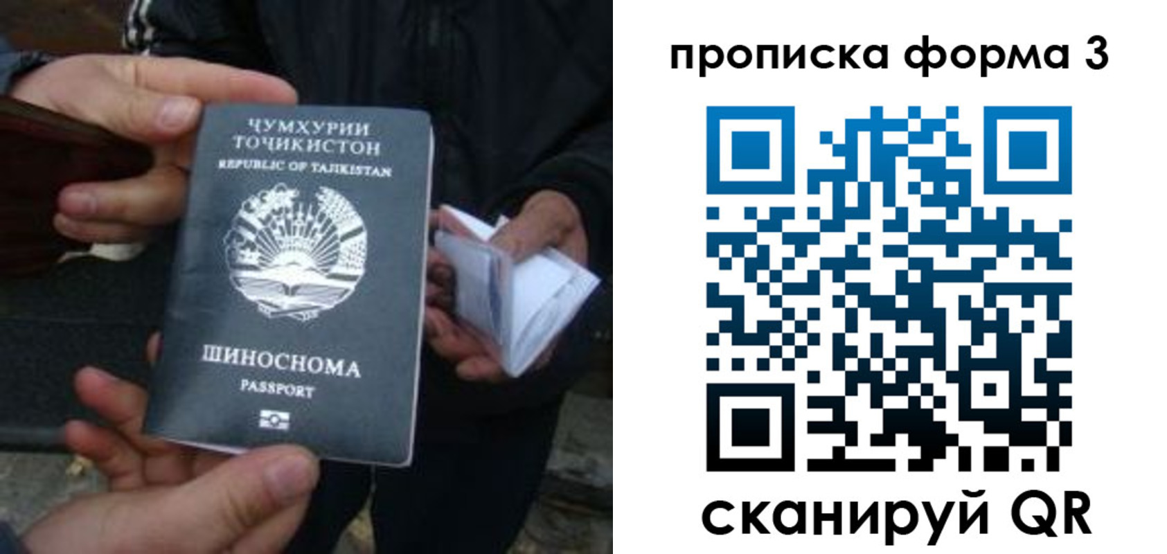 прописка 2025 в Павловском Посаде