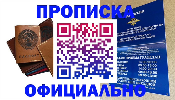 временная прописка в Павловском Посаде